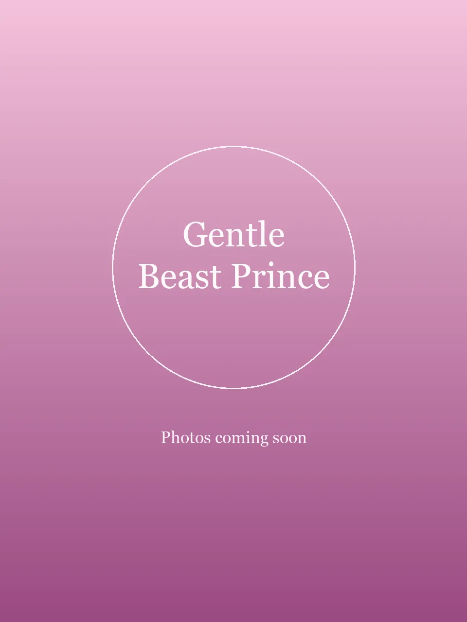 Gentle Beast Prince party character in Wilmington