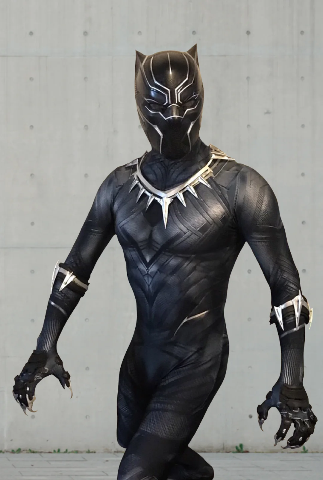 Panther Hero party character in Wilmington
