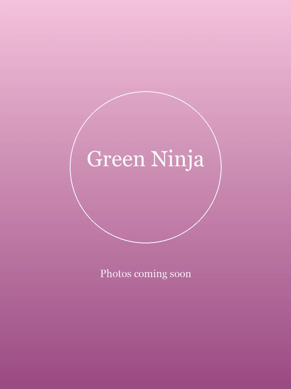 Green Ninja party character in Wilmington
