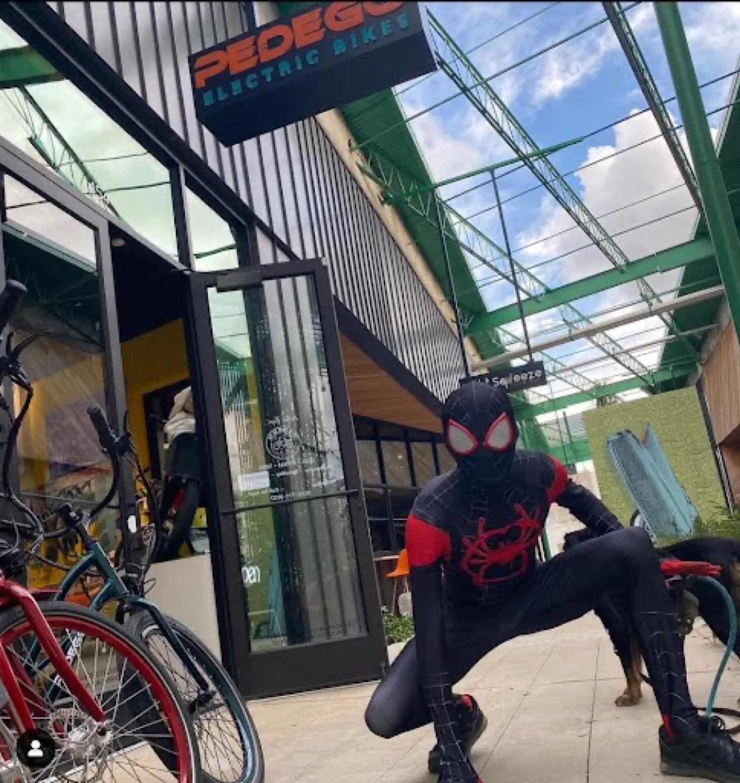 Masked Web Hero party character in Wilmington