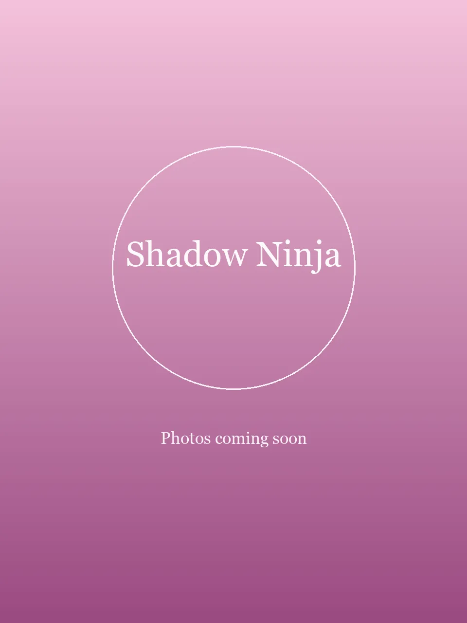 Shadow Ninja party character in Wilmington