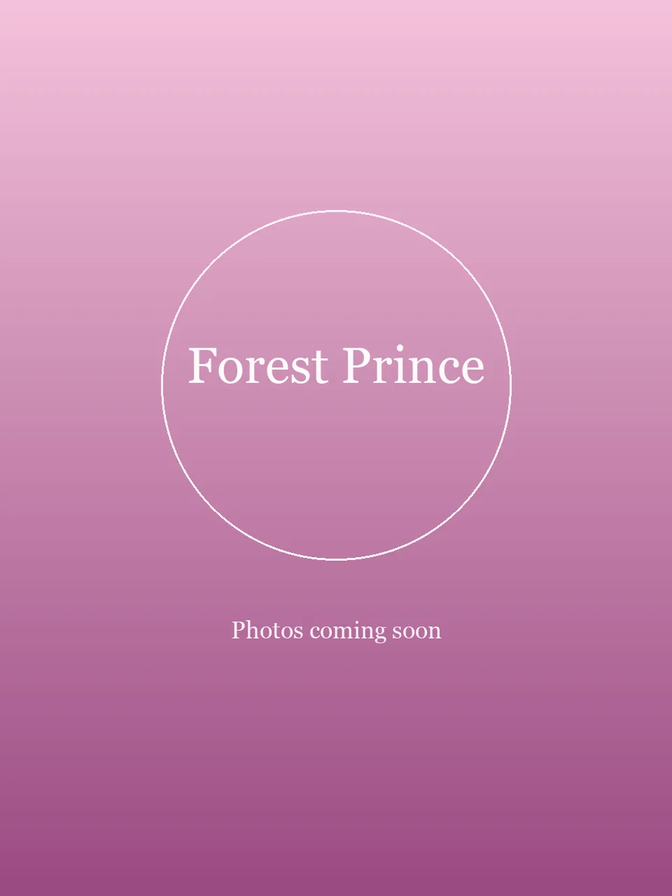 Forest Prince party character in Wilmington