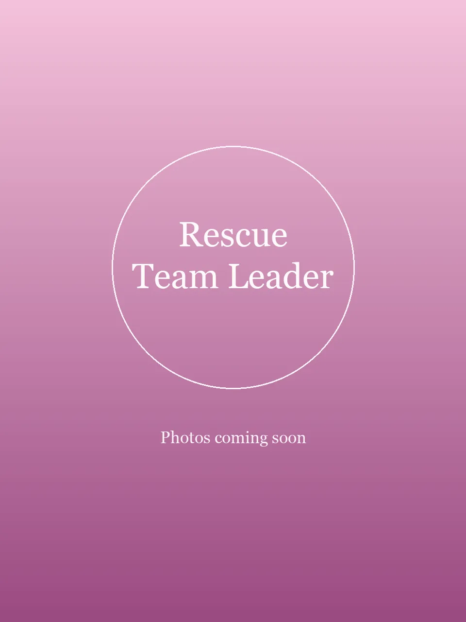 Rescue Team Leader party character in Wilmington