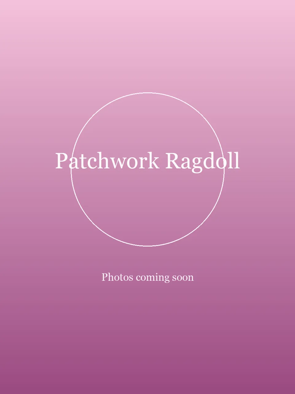Patchwork Ragdoll party character in Wilmington